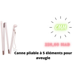 CANNE PLIABLE A 5 ELEMENTS POUR AVEUGLE