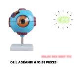 ŒIL AGRANDI 6 FOIS 8 PIÈCE